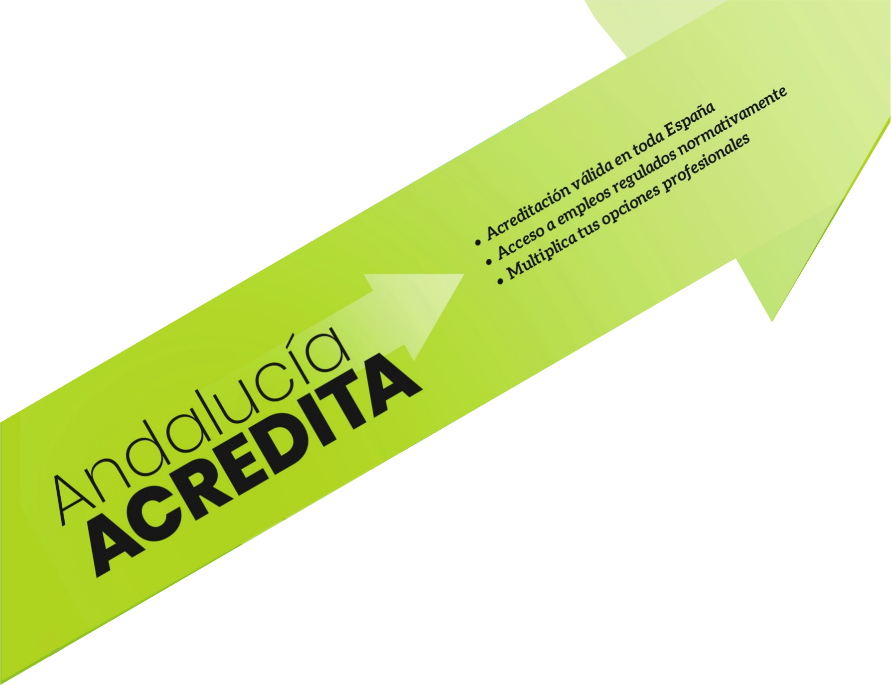 Andalucía Acredita. Instituto Andaluz de Cualificaciones Profesionales